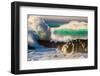 Giant storm surf, Oahu, Hawaii-Mark A Johnson-Framed Photographic Print