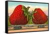Giant Strawberries on Flatbed-null-Framed Stretched Canvas