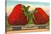 Giant Strawberries on Flatbed-null-Stretched Canvas