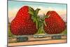 Giant Strawberries on Flatbed-null-Mounted Art Print