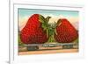 Giant Strawberries on Flatbed-null-Framed Premium Giclee Print
