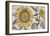 Giant Sunflower,. the Hortus Floridus, Hand-Coloured Plate, c.1614-null-Framed Giclee Print