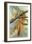 Giant Swift Moth-null-Framed Giclee Print