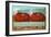 Giant Tomatoes in Rail Car-null-Framed Art Print