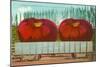 Giant Tomatoes in Rail Car-null-Mounted Art Print