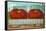 Giant Tomatoes in Rail Car-null-Framed Stretched Canvas