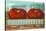 Giant Tomatoes in Rail Car-null-Stretched Canvas