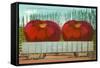 Giant Tomatoes in Rail Car-null-Framed Stretched Canvas