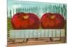 Giant Tomatoes in Rail Car-null-Mounted Art Print