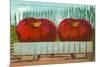 Giant Tomatoes in Rail Car-null-Mounted Premium Giclee Print