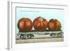 Giant Tomatoes on Flat Bed-null-Framed Art Print