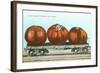 Giant Tomatoes on Flat Bed-null-Framed Art Print