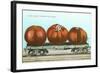 Giant Tomatoes on Flat Bed-null-Framed Art Print