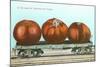 Giant Tomatoes on Flat Bed-null-Mounted Art Print