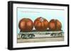 Giant Tomatoes on Flat Bed-null-Framed Art Print