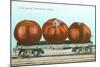 Giant Tomatoes on Flat Bed-null-Mounted Art Print