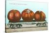 Giant Tomatoes on Flat Bed-null-Stretched Canvas