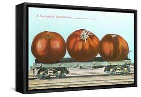 Giant Tomatoes on Flatbed-null-Framed Stretched Canvas