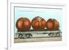 Giant Tomatoes on Flatbed-null-Framed Art Print