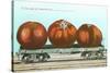 Giant Tomatoes on Flatbed-null-Stretched Canvas