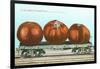 Giant Tomatoes on Flatbed-null-Framed Art Print