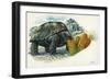 Giant Tortoise Eating Cactus-null-Framed Giclee Print