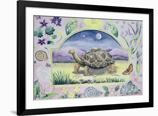 Giant Tortoise (Month of May from a Calendar)-Vivika Alexander-Framed Giclee Print