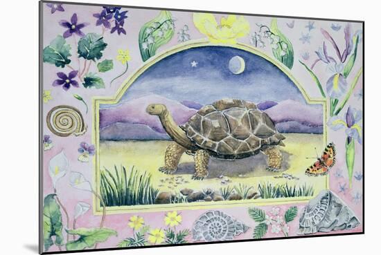 Giant Tortoise (Month of May from a Calendar)-Vivika Alexander-Mounted Giclee Print