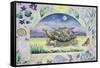 Giant Tortoise (Month of May from a Calendar)-Vivika Alexander-Framed Stretched Canvas