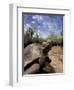 Giant Tortoise on Galapagos Islands, Ecuador-Stuart Westmoreland-Framed Photographic Print