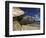 Giant Tortoise on the Beach-Martin Harvey-Framed Photographic Print