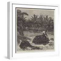 Giant Tortoises, from the Seychelles Islands, for the Zoological Society's Garden-null-Framed Giclee Print