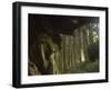 Giant Tree Trunk in Cedar Forest, Alishan National Forest Recreation Area, Chiayi County, Taiwan-Christian Kober-Framed Photographic Print