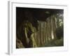 Giant Tree Trunk in Cedar Forest, Alishan National Forest Recreation Area, Chiayi County, Taiwan-Christian Kober-Framed Photographic Print