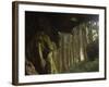 Giant Tree Trunk in Cedar Forest, Alishan National Forest Recreation Area, Chiayi County, Taiwan-Christian Kober-Framed Photographic Print