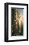 Giant Trees, Mariposa Grove, California-Albert Bierstadt-Framed Premium Giclee Print