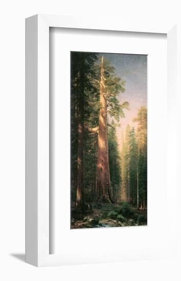 Giant Trees, Mariposa Grove, California-Albert Bierstadt-Framed Premium Giclee Print