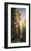 Giant Trees, Mariposa Grove, California-Albert Bierstadt-Framed Premium Giclee Print