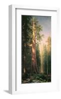 Giant Trees, Mariposa Grove, California-Albert Bierstadt-Framed Premium Giclee Print