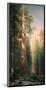Giant Trees, Mariposa Grove, California-Albert Bierstadt-Mounted Premium Giclee Print