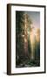 Giant Trees, Mariposa Grove, California-Albert Bierstadt-Framed Premium Giclee Print