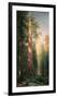 Giant Trees, Mariposa Grove, California-Albert Bierstadt-Framed Premium Giclee Print