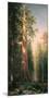 Giant Trees, Mariposa Grove, California-Albert Bierstadt-Mounted Premium Giclee Print