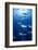 Giant Trevally (Caranx Ignobilis) Shoal Schooling-Mark Doherty-Framed Photographic Print