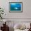 Giant Trevally (Caranx Ignobilis) Swimming Above Sea Grass Field-Mark Doherty-Framed Photographic Print displayed on a wall