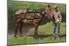 Giant Trout Strapped on Horse-null-Mounted Premium Giclee Print