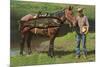 Giant Trout Strapped on Horse-null-Mounted Premium Giclee Print