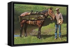 Giant Trout Strapped on Horse-null-Framed Stretched Canvas