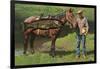 Giant Trout Strapped on Horse-null-Framed Art Print