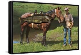 Giant Trout Strapped on Horse-null-Framed Stretched Canvas